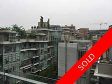 False Creek Condo for sale:  1 bedroom 506 sq.ft. (Listed 2017-05-20)